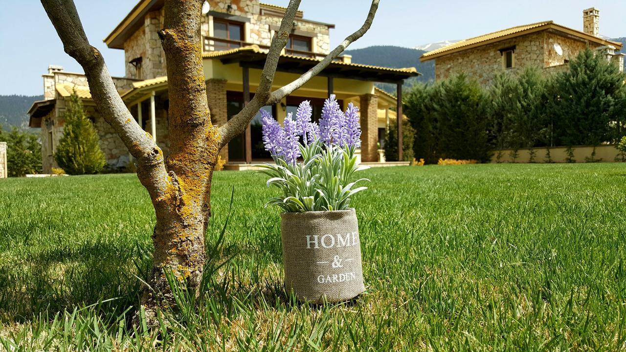 Mountain Chalet Livadi أراخوفا المظهر الخارجي الصورة